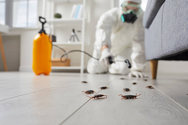 Trusted Emergency Pest Control service in Grand Rapids, MI - Nex Pest Control