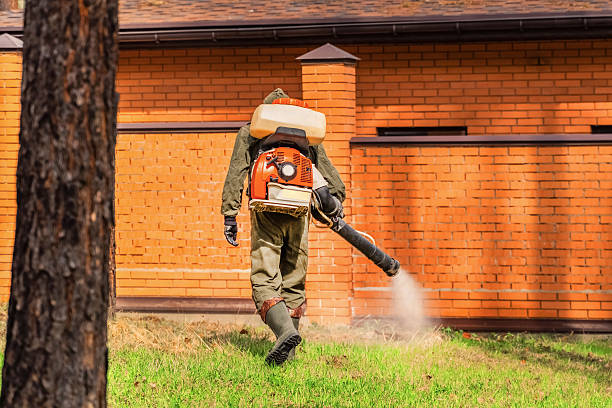 Trusted Mosquito Control service in Grand Rapids, MI - Nex Pest Control